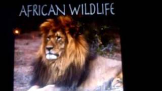 KING TUBBY - TAKE 5 DUB / CORNELL CAMPBELL - WHY DUB IN SPRING . REGGAE