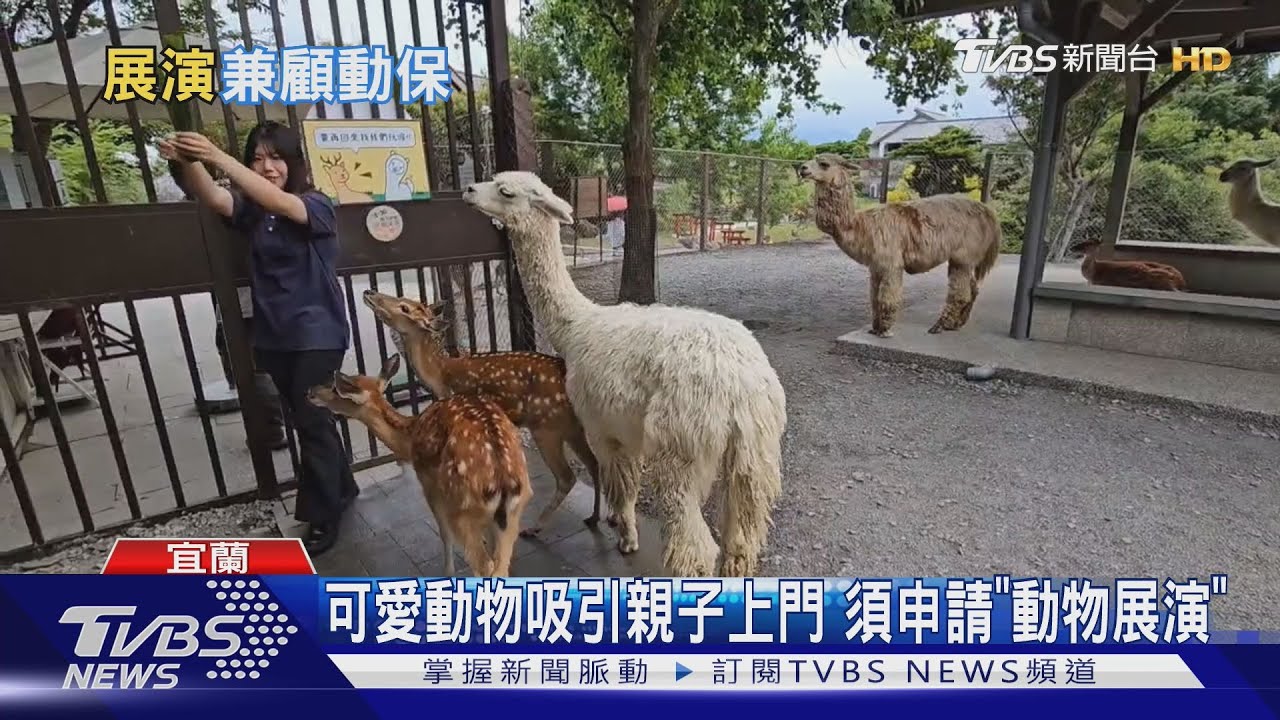 農場注意!可愛動物吸引親子上門 業者須申請「動物展演」
