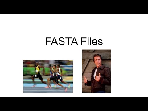 What is a FASTA file?