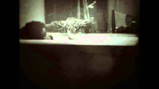 Helado Negro - Lechuguilla