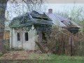 Микола Кондратюк - На Чорнобиль журавлі летіли 