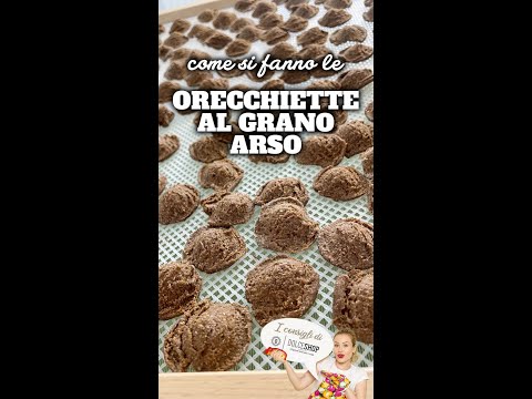 Orecchiette di grano arso 🌾👐