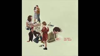 Quite Like You - Andy Shauf