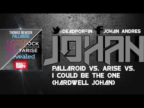 Pallaroid vs. Arise vs. I Could Be The One (Hardwell Johan) #3