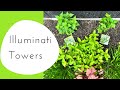 How to Plant a Gorgeous Mock Orange | Illuminati Tower | Proven Winners