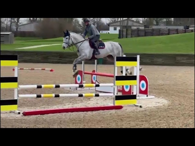 8 ANS MAGNIFIQUE 1,76M BRAVE  A L EXTREME