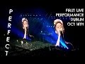 One Direction - Perfect (Live in Dublin)