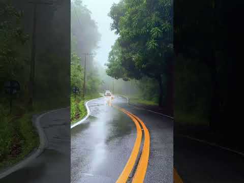 A chuva cai devagar e a natureza agradece em silêncio❄️💚 #ceará #guaramiranga