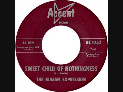 The Human Expression - Sweet child of nothingness