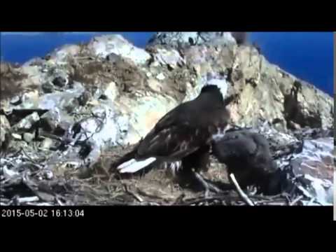 TH - Almost Got the Camera