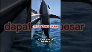 Download lagu Pria yang Sering Diremehkan Ini Akhirnya Membalikkan Keadaan! #viral #faktaunik #ikan #mancing mp3