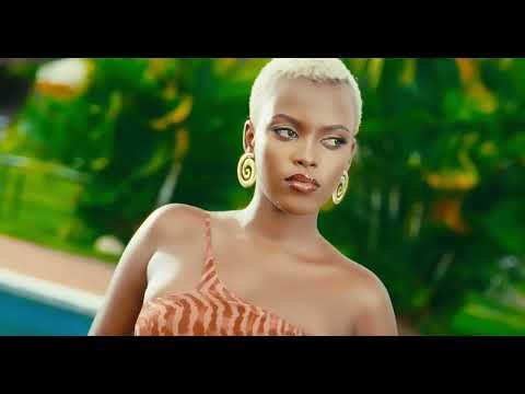 Wizden - Fine Lady ft Chris MB (Official music video)