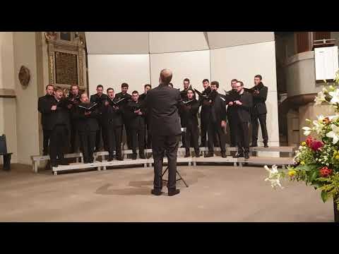 Ensemble Vocapella Männerkammerchor dirigiert von Tristan Meister La Marche des rois Robert Sund