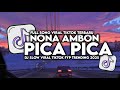 DJ NONA AMBON PICA PICA SLOW VIRAL TIKTOK FULL SONG MAMAN FVNDY 2025