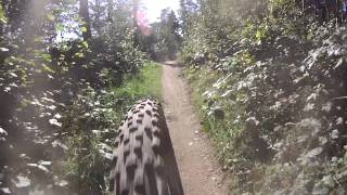preview picture of video 'Mountainbikeroute Montferland - Beek - Zeddam'