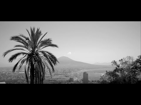 Alessio Arena   'A felicità