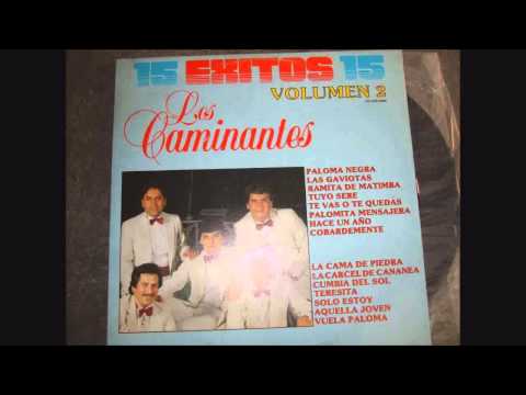 LOS CAMINANTES (EXITOS) VOL 2