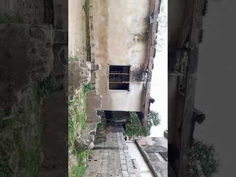 🏞️ FOR SALE Standard Plot of Land 📍 Location: Egbe, Lagos