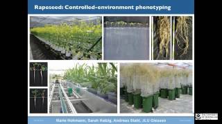 Genomic dissection of trait complexity for crop improvement