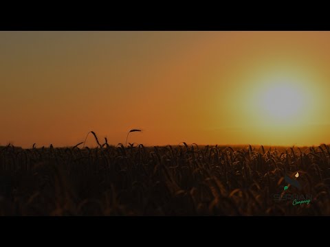 Serhan Company | Tanıtım Filmi