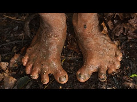 ELES VIVEM LONGE DE TUDO