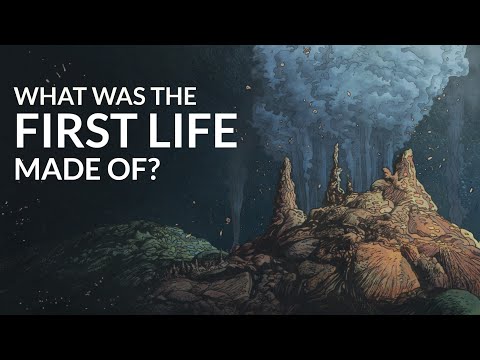 How Did Life Begin?