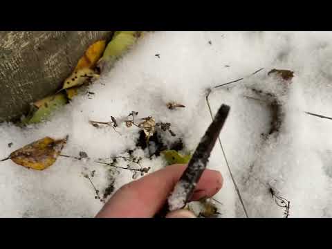 20 марта 2025 г.