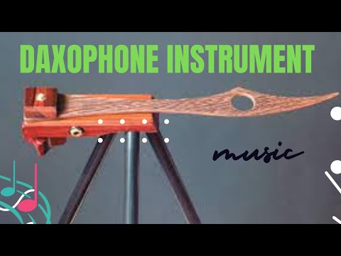 Daxophone instrument