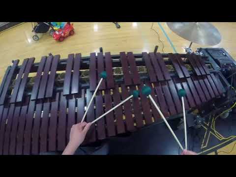 MRHS 2018 Winter Percussion 1st Marimba CAM