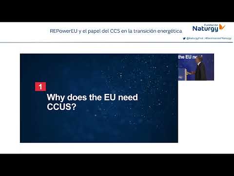 Imagen Webinar: REPowerEU y el papel del CCS en la transición energética