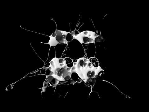 Cafe Original Mix   DJ Wady, DVit Bousa   Café