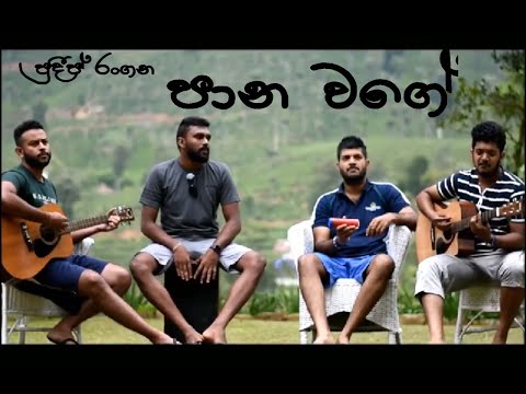 Paana Wage Peena Heene | පාන වගේ පේන හීනේ | Pradeep Rangana Cover Song