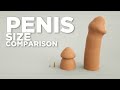 Scale Animal PENISES