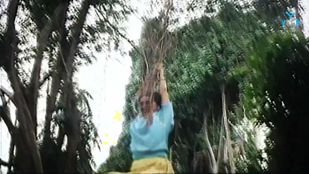 Amma Adi Amma Song Lyrics | Rasigan Oru Rasigai