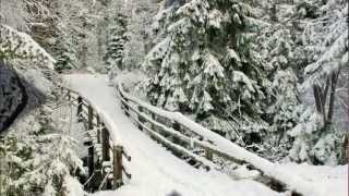 Bert Kaempfert: Wonderland By Night