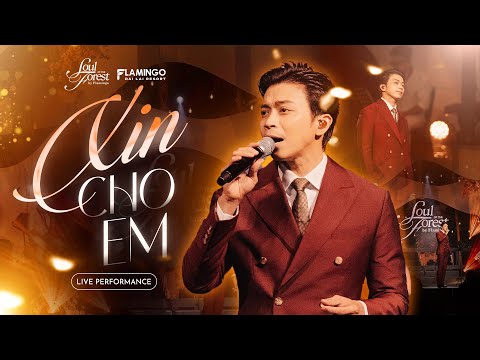 XIN CHO EM - Lân Nhã | Live at Soul of The Forest