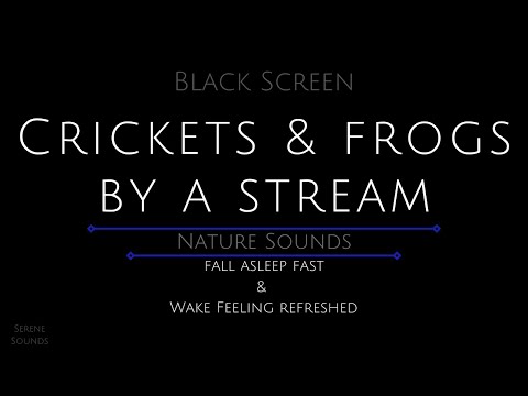 Black Screen 10 Hours - Crickets and Frogs by a Stream - Cricket Sounds - Frog Sounds - Water Sounds
