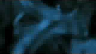 Aiden- Teenage Queen