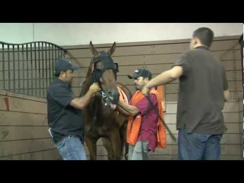 2011 $50K Remington Park Turf Sprint S