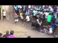 கீழப்பலூர் ராஜசேகர் மாடு காண்டாமிரு�