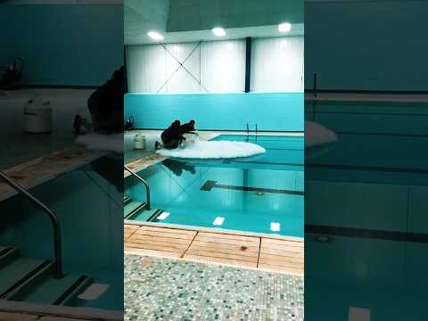 Liquid nitrogen on pool #liquidnitrogen #science #chemistryteacher #shorts