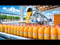 How ORANGE JUICE Is Produced Industrial Process