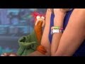 Pepe The King Prawn Flirts With Good Morning America S Lara Spencer