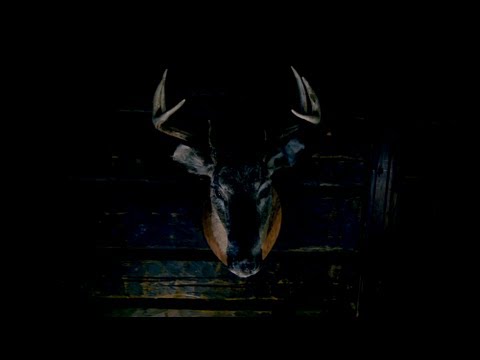 DEAD SIRIUS 3000 - The Hole EPK