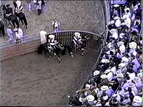 Recuerdo de esta semana