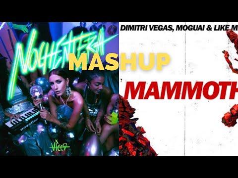 Mashup Nochentera  X Mammoth (Radio Version) DJ GALFLY ( VFX ) #mashup  #musica