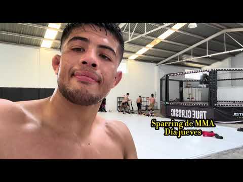 BabyFace Fight Camp -Vlog 1 “piloto”