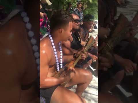 fastest ukulele player 👌