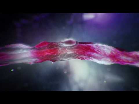 Science of Childhood Trauma