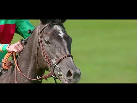 [EPIQE SERIES] – JUDDMONTE Grand Prix de Paris - [EN]